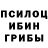 Галлюциногенные грибы MAGIC MUSHROOMS Mike Minnick