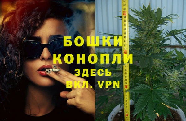 дурь Белоозёрский