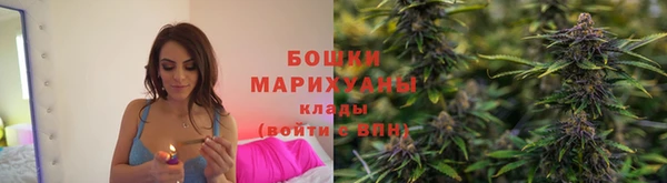ECSTASY Белокуриха