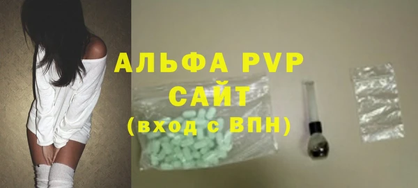 ECSTASY Белокуриха