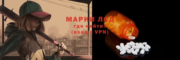ECSTASY Белокуриха