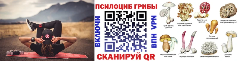 ОМГ ОМГ как зайти  Серов  Псилоцибиновые грибы GOLDEN TEACHER 